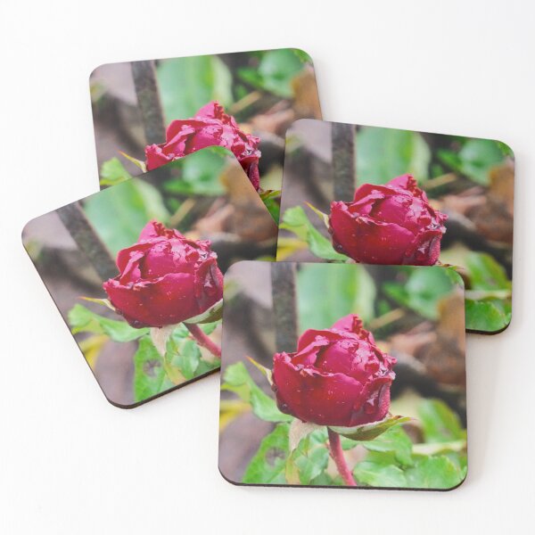 Item preview, Hydration designed and sold by Elinda96.
