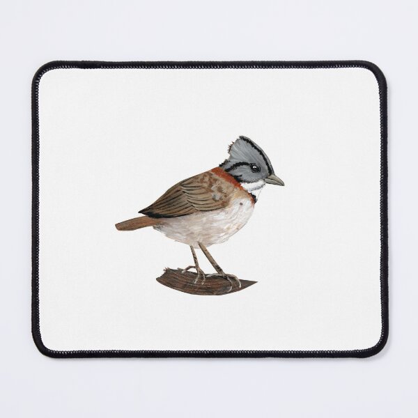 Item preview, Chincol designed and sold by lapintista.
