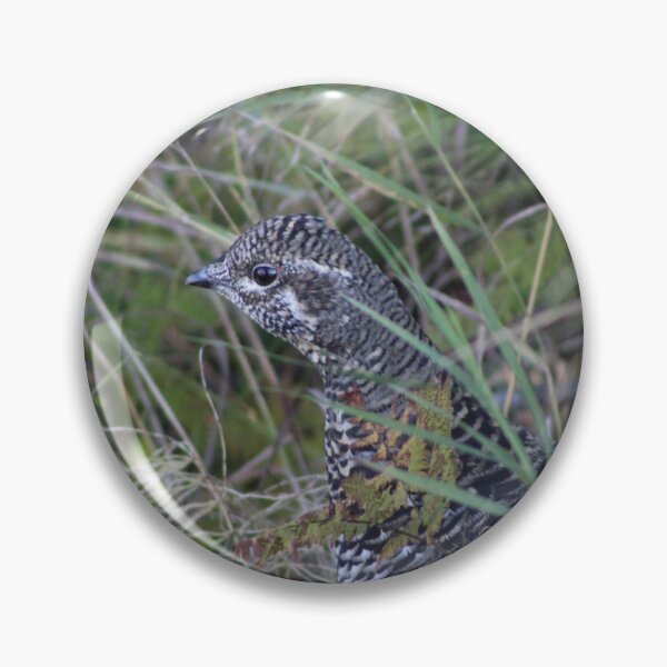 Item preview, Spruce Grouse designed and sold by Pacific Northwest Birding.