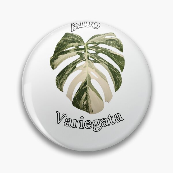 Item preview, monstera albo variegata designed and sold by LivsPlantHouse.