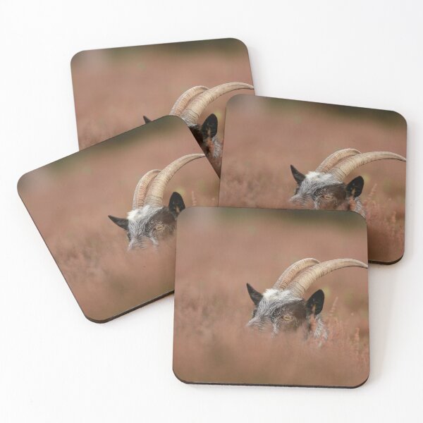 Item preview, Heads up  designed and sold by miradorpictures.