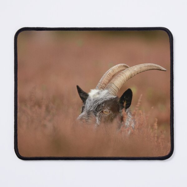 Item preview, Heads up  designed and sold by miradorpictures.