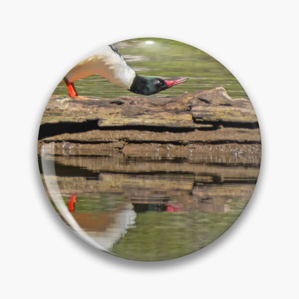 Item preview, Male Merganser Duck taking a stretch break designed and sold by lisavonbiela.