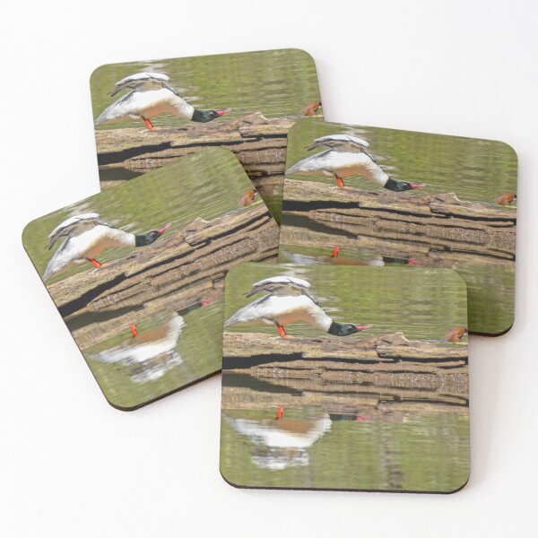 Item preview, Male Merganser Duck taking a stretch break designed and sold by lisavonbiela.