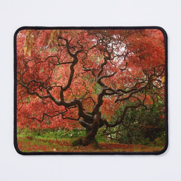 Item preview, Perfection designed and sold by miradorpictures.