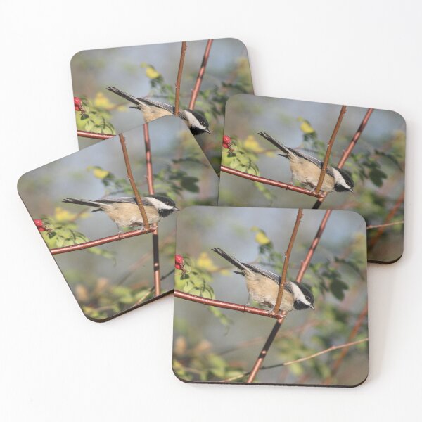 Item preview, Black-capped Chickadee designed and sold by Pacific Northwest Birding.