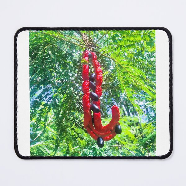 Item preview, Cojoba arborea designed and sold by Quantum-Life.