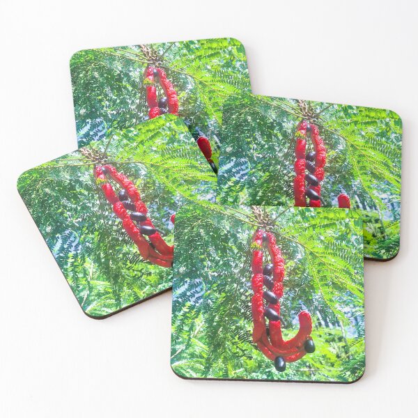 Item preview, Cojoba arborea designed and sold by Quantum-Life.