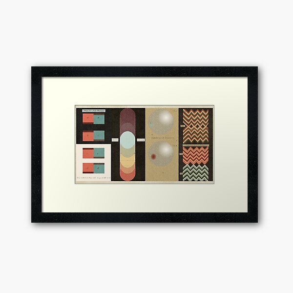 Item preview, Vintage remake of Planche A. de Physique,  by Jacques-Fabien Gautier-D'Agoty  1752. designed and sold by Colorianna.