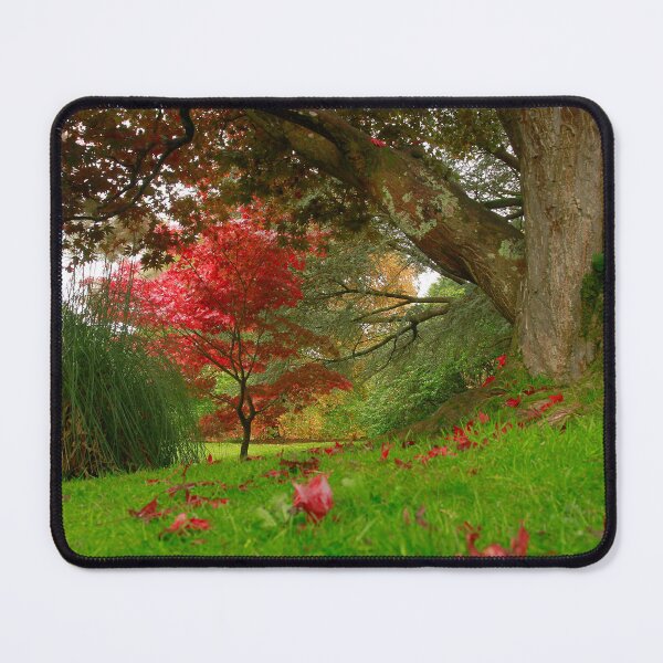 Item preview, Fallen leaves  designed and sold by miradorpictures.