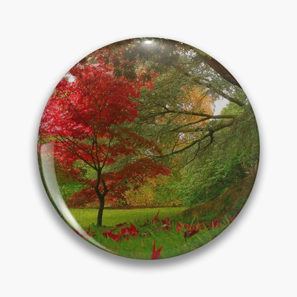 Item preview, The reds of autumn  designed and sold by miradorpictures.