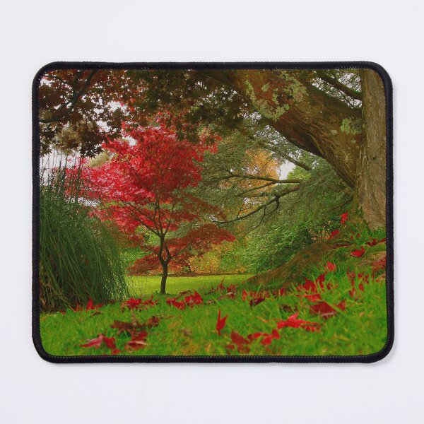 Item preview, The reds of autumn  designed and sold by miradorpictures.