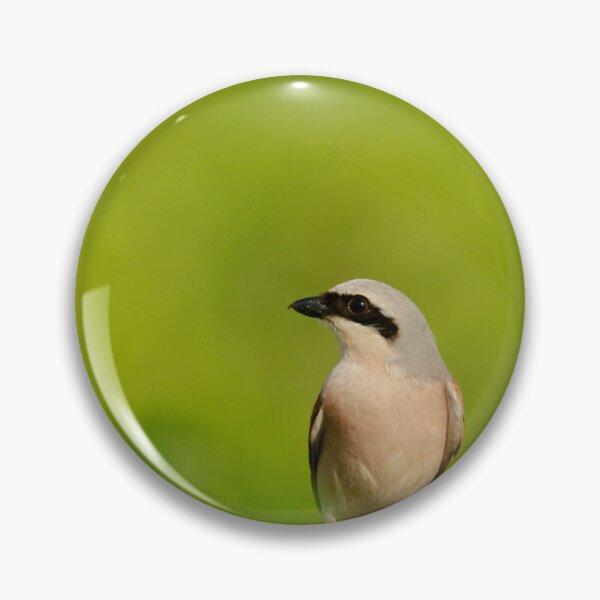 Item preview, On lookout designed and sold by miradorpictures.