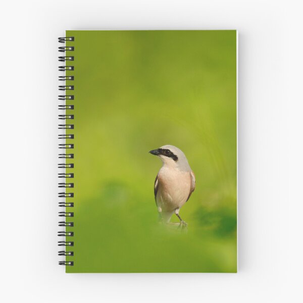 Item preview, On lookout designed and sold by miradorpictures.