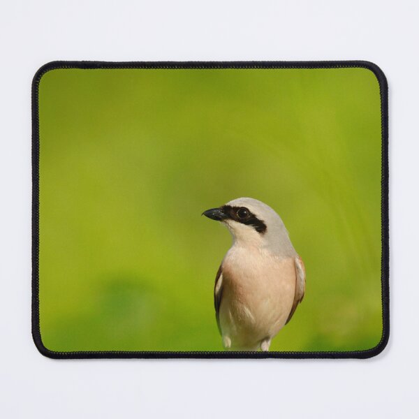 Item preview, On lookout designed and sold by miradorpictures.