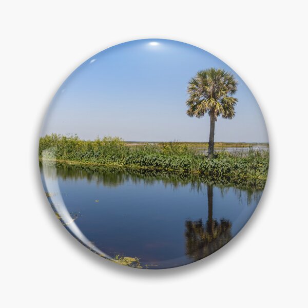 Item preview, Serene Vista at Lake Apopka designed and sold by jrtwynam.