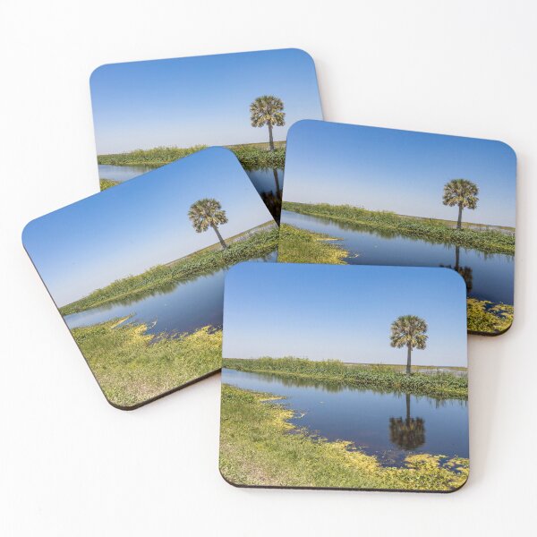Item preview, Serene Vista at Lake Apopka designed and sold by jrtwynam.