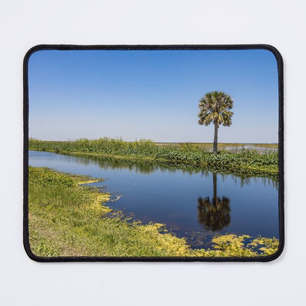 Item preview, Serene Vista at Lake Apopka designed and sold by jrtwynam.