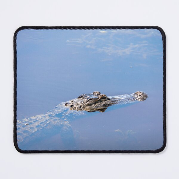 Item preview, Alligator at Lake Apopka designed and sold by jrtwynam.