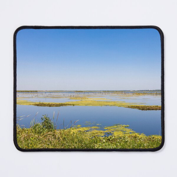 Item preview, Lake Apopka Scenic Wetlands designed and sold by jrtwynam.