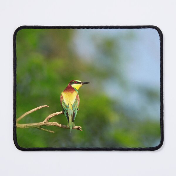 Item preview, Look up designed and sold by miradorpictures.