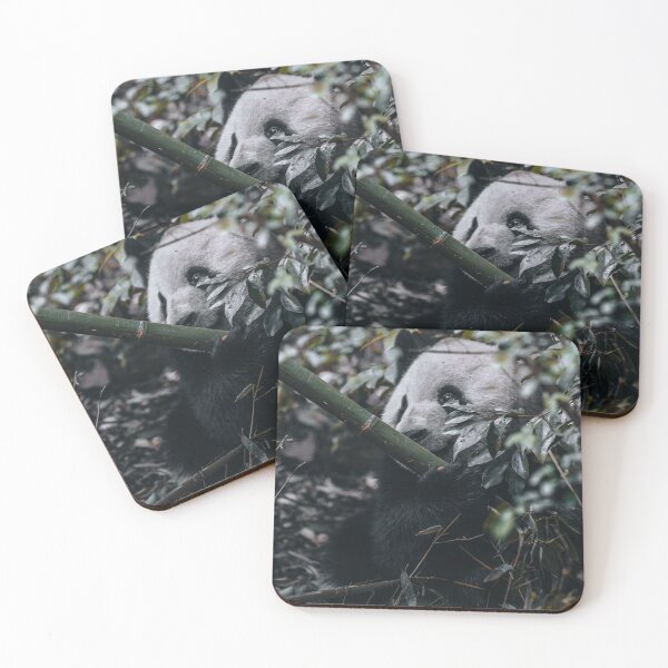 Item preview, A Cute Panda designed and sold by eliainphotos.