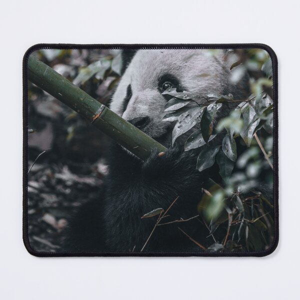 Item preview, A Cute Panda designed and sold by eliainphotos.
