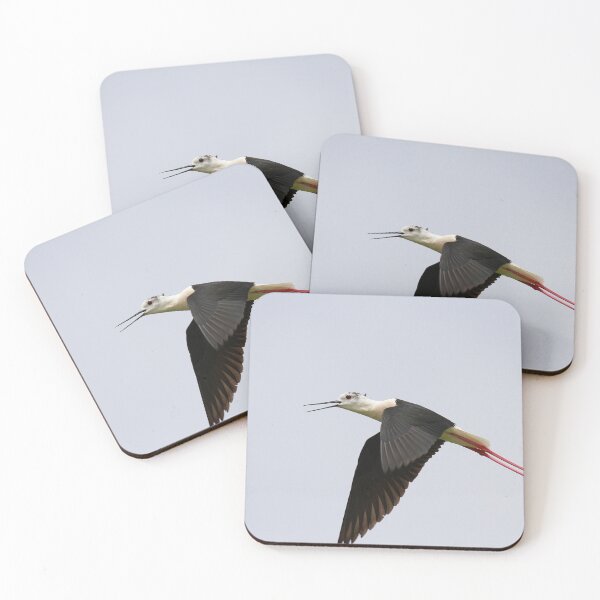 Item preview, Brilliant black necked stilt designed and sold by miradorpictures.