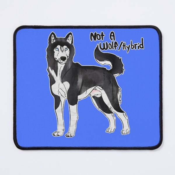 Artikelvorschau, Kein Wolf/Hybrid - Schwarz-weißer Siberian Husky entworfen und verkauft von Sparklepupfaeri.