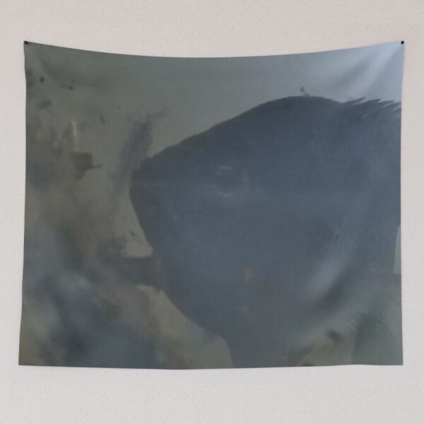 Item preview, Curious Bluegill  designed and sold by CJRPics.