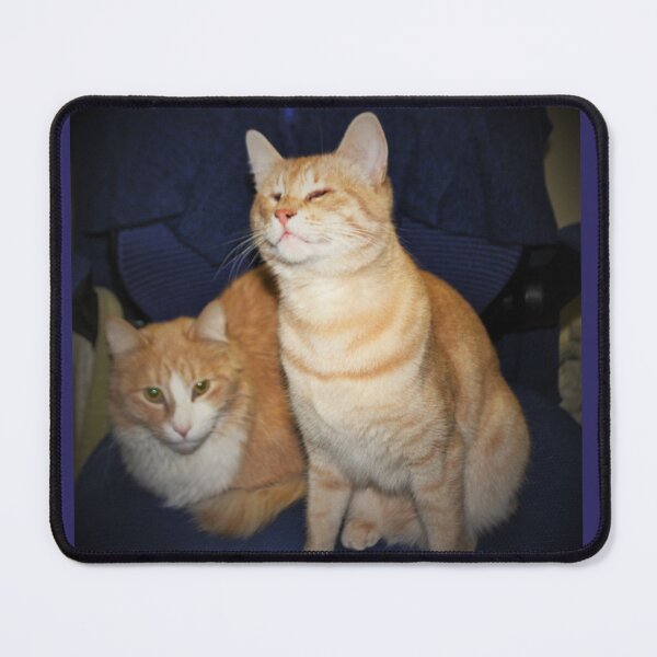 Item preview, Symba with his housemate Jasper designed and sold by JanelSymba.