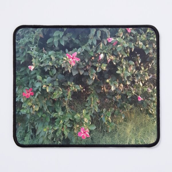 Item preview, Hawaiian Flowers designed and sold by VincentArtHouse.