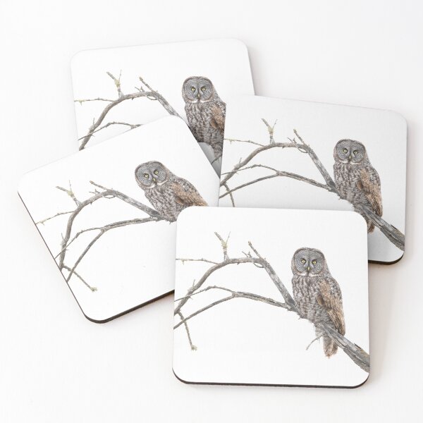 Item preview, Great Gray Owl on branch designed and sold by Eivor Kuchta.
