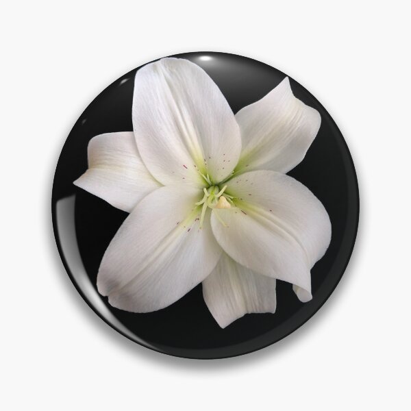 Item preview, Lillies designed and sold by TravisTs.
