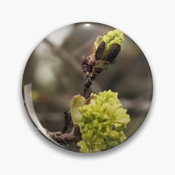 Item preview, Spring maple  designed and sold by Sweetwater27.