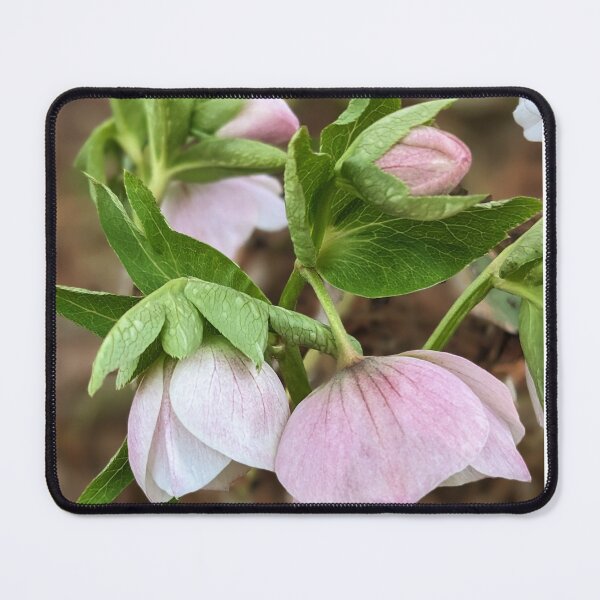 Item preview, Blushing  designed and sold by Sweetwater27.