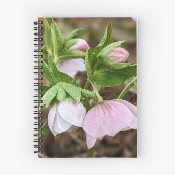 Item preview, Blushing  designed and sold by Sweetwater27.