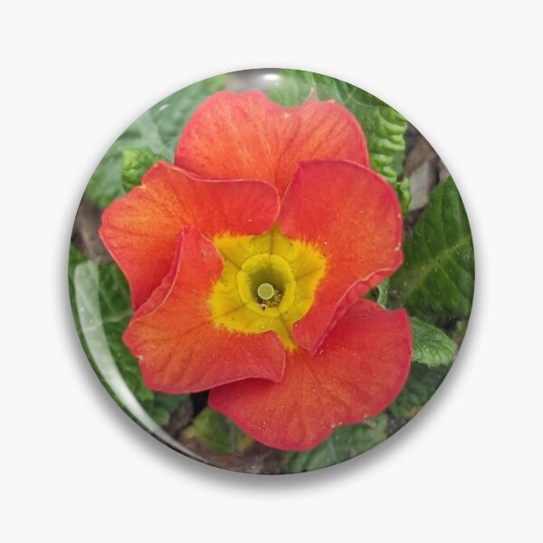 Item preview, Pop of spring! designed and sold by Sweetwater27.