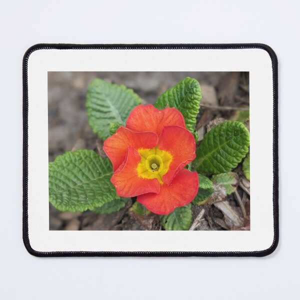 Item preview, Pop of spring! designed and sold by Sweetwater27.