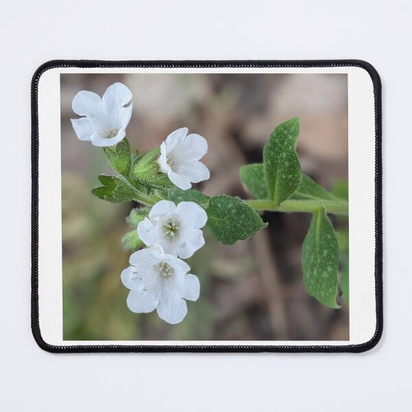 Item preview, Dainty designed and sold by Sweetwater27.