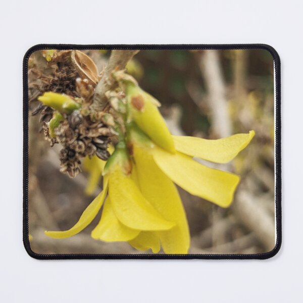 Item preview, Yellow bells designed and sold by Sweetwater27.