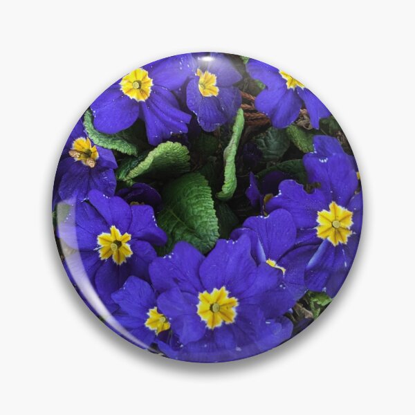 Item preview, Blue primula  designed and sold by Sweetwater27.