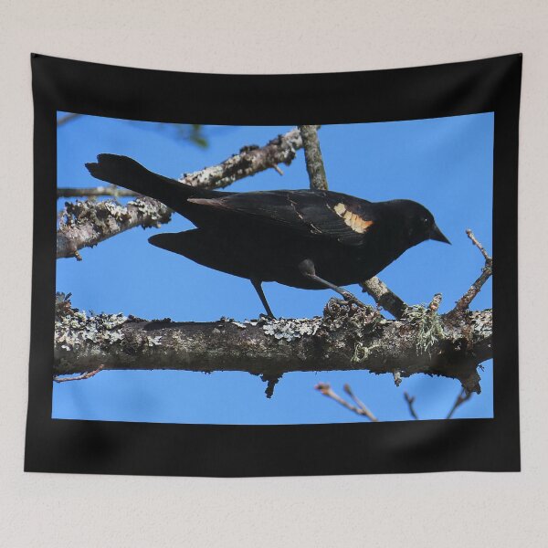 Item preview, Red Wing Black Bird designed and sold by Chriscolibaba.