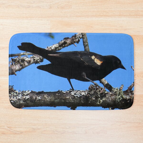 Item preview, Red Wing Black Bird designed and sold by Chriscolibaba.