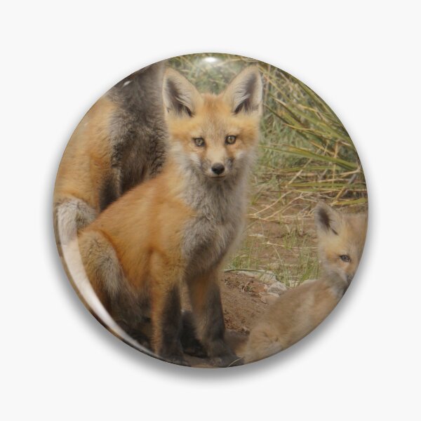 Item preview, Two Fox Families designed and sold by Betsy Seeton.