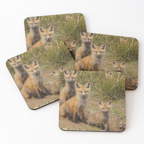Item preview, Two Fox Families designed and sold by Betsy Seeton.