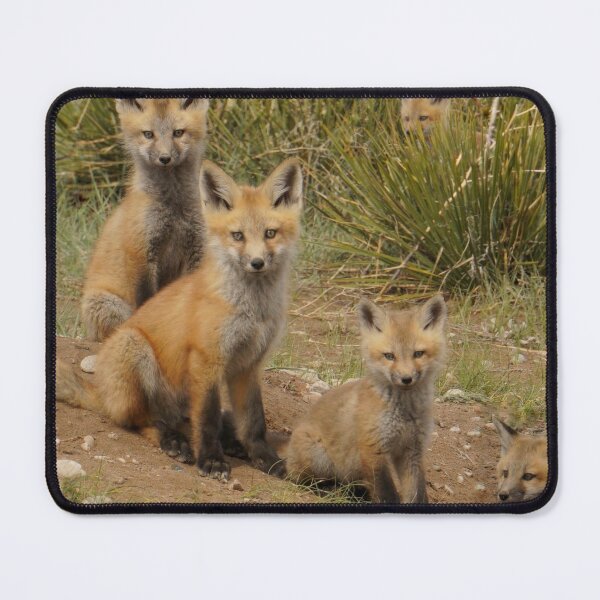 Item preview, Two Fox Families designed and sold by Betsy Seeton.