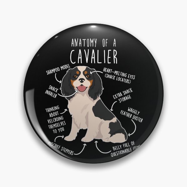 Item preview, Tri-Color Cavalier King Charles Spaniel Dog Anatomy designed and sold by Clara Hollins.