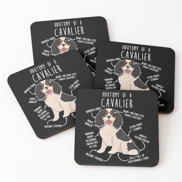 Item preview, Tri-Color Cavalier King Charles Spaniel Dog Anatomy designed and sold by Clara Hollins.