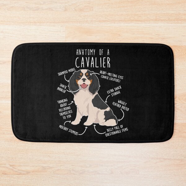 Item preview, Tri-Color Cavalier King Charles Spaniel Dog Anatomy designed and sold by Clara Hollins.